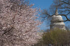 Washington Mentorship Program